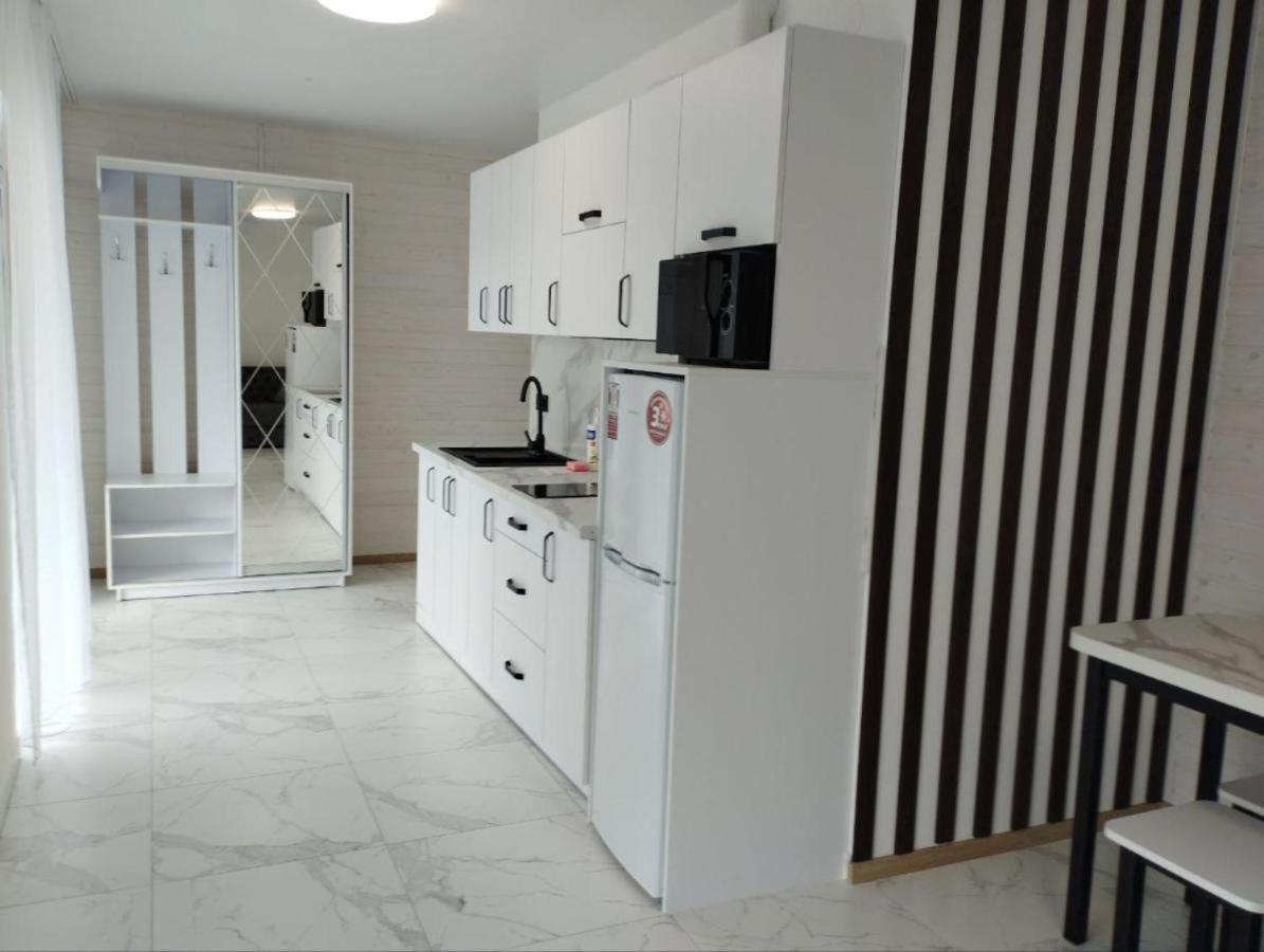 Перлина Карпат Appartement Skhidnytsia Buitenkant foto